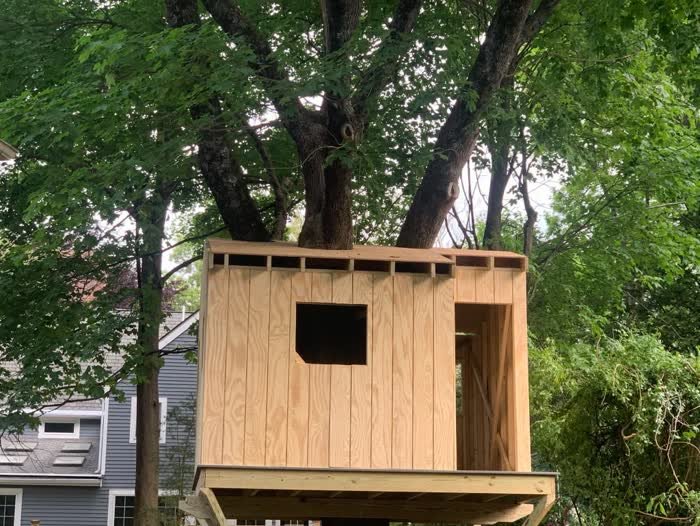 Treehouse build
